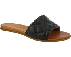 Unity In Diversity Kira 167