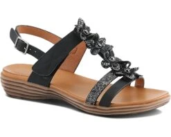 Patrizia Kalliphaeia